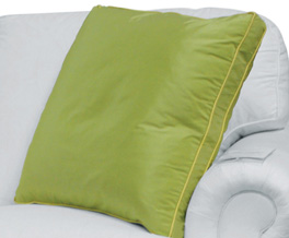 Mr. and Mrs. Howard Designer Pillow
